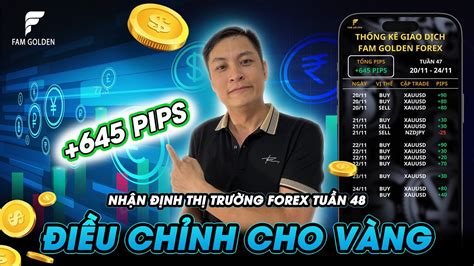 NHẬN ĐỊNH THỊ TRƯỜNG FOREX TUẦN 48 TỪ NGÀY 27 11 01 12 FAM FOREX