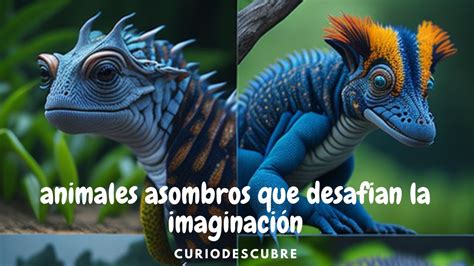 Criaturas Asombrosas De Madagascar Que Desaf An La Imaginaci N