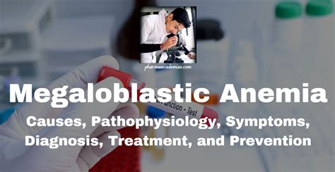 Megaloblastic Anemia Causes Pathophysiology Symptoms Diagnosis Treatment And Prevention