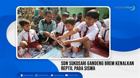 Sdn Sukosari Gandeng Brem Kenalkan Reptil Pada Siswa Youtube