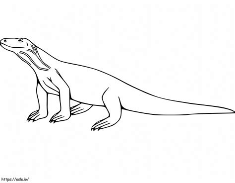 Easy Komodo Dragon coloring page