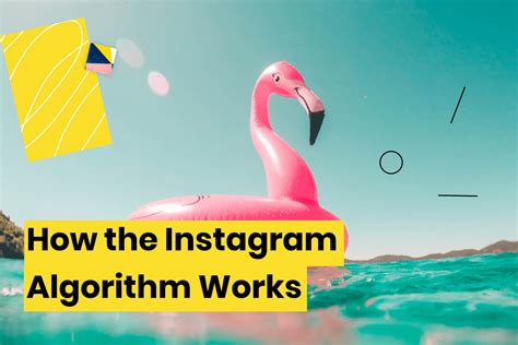 How The Instagram Algorithm Works In Ceo Reveals New Details