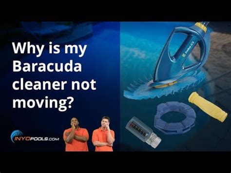 Why Is My Baracuda Cleaner Not Moving Youtube