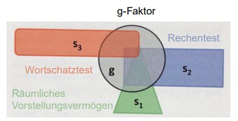 Vl Kognitive Prozesse Und Intelligenz Karteikarten Quizlet