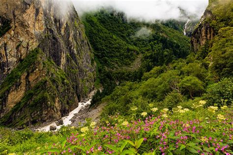 Nanda Devi And Valley Of Flowers National Parks World Heritage Sites