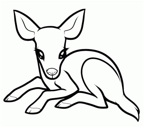 Coloring Pages For Kids Deer