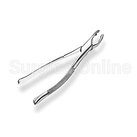 Extracting Forceps Dental Surgical 151AS