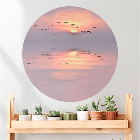 Vinilo Circular Decorativo P Jaros Al Atardecer Teleadhesivo