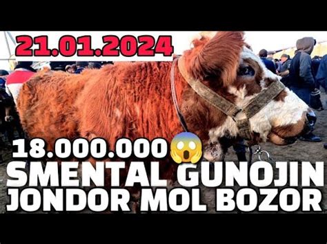 BUXORO JONDOR MOL BOZOR UZBEKISTAN ANIMAL MARKЕT ONA BOLA SIGIR