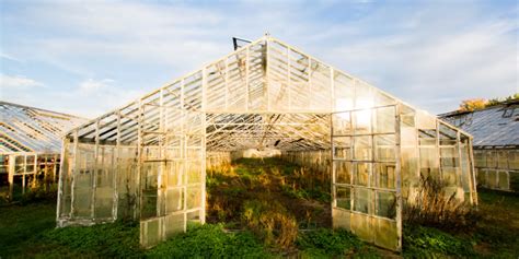 The Best Greenhouse Supplies In 2021 Backyard Boss