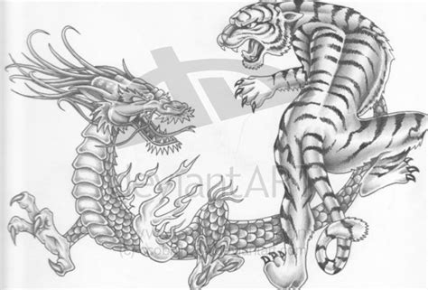 Detail Wallpaper Naga Vs Harimau Hd Koleksi Nomer 10