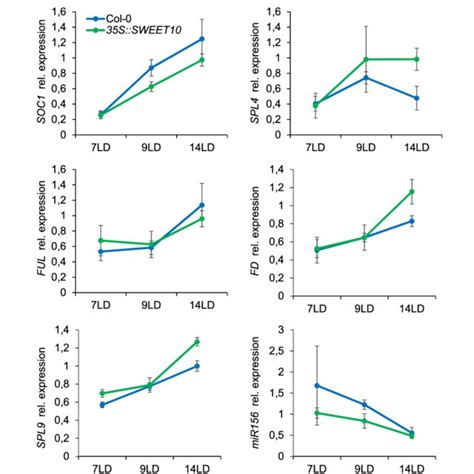 Expression Levels Of Flowering Time Related Genes In SWEET10