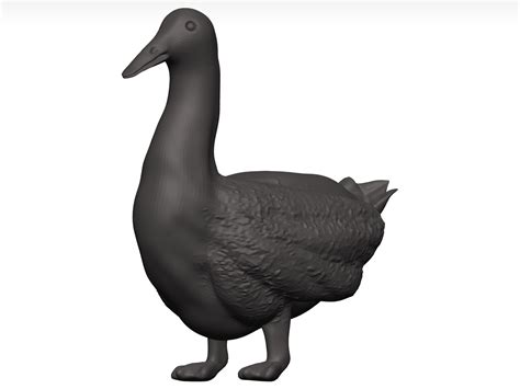 Duck Stl 3D Model - TurboSquid 1774157