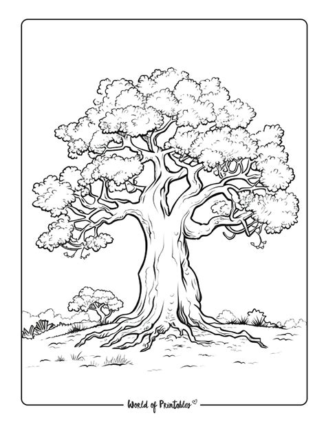 Oak Tree Coloring Page