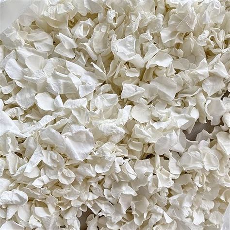 Dollz Confetti WHITE Wedding Confetti Petals Biodegradable Real