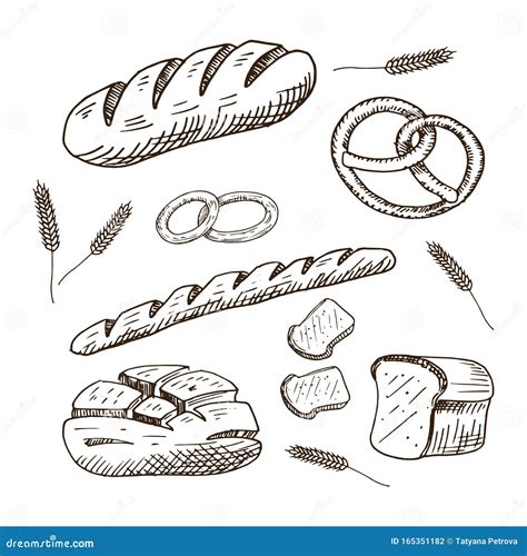 Bakery Set Collection Of Hand Drawn Bread Products Sketch Style