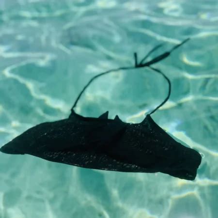 Tan Through Tie Side Bikini Bottom Katie Swimwear