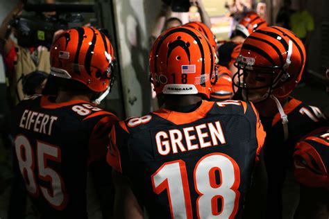 Download Cincinnati Bengals Sports HD Wallpaper