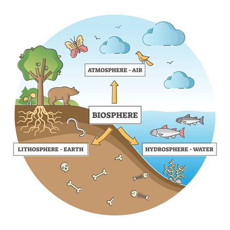 Biosphere And Ecosystem — Lesson Social Science Class 9