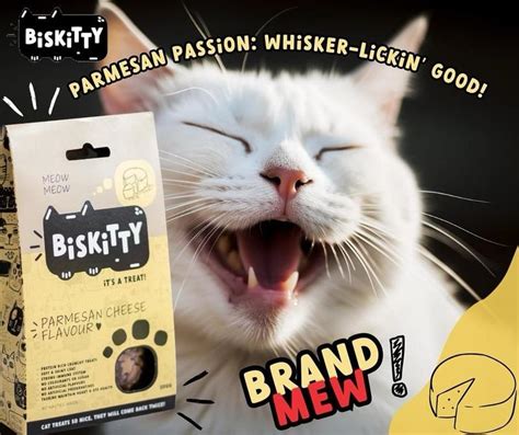 Buy Biskitty Parmesan Cheese Cat Treats 200g Best Price Online