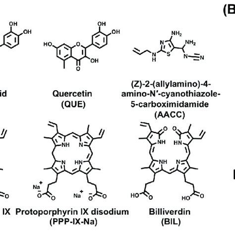 Small Molecules Targeting The Conversion Of HBV RcDNA To CccDNA