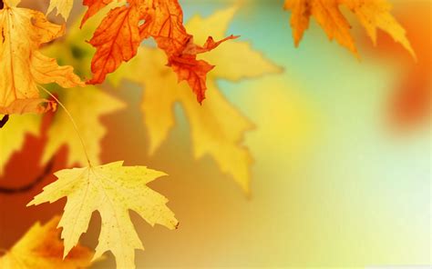 Computer Autumn Leaves Wallpapers Wallpaper Cave