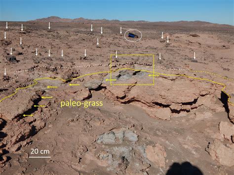 There Are A Large Number Of Black And Green Patches In The Chilean Desert About 12 000 Years