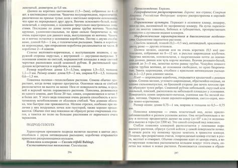 Принтер canon или epson что лучше выбрать