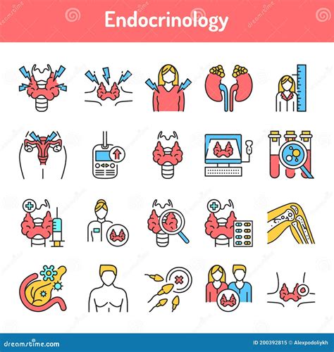 Endocrinology Color Line Icons Set Pictograms For Web Page Mobile App