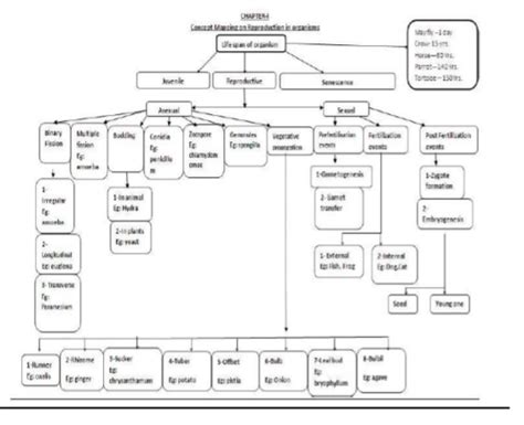 Cbse Class Biology Concept Maps For All Chapters