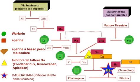 Nuovi Anticoagulanti Orali NAO Quando Sono Indicati Torrinomedica