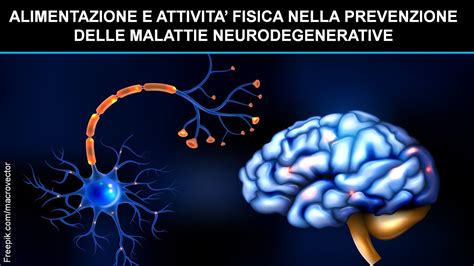 Malattie Neurodegenerative La Prevenzione Attraverso Alimentazione E