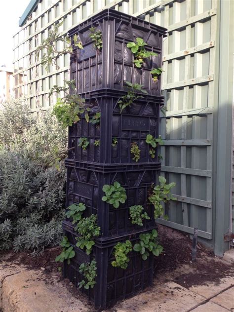 Vertical Gardening Recycled Milk Crates And Less Water Needed Choose