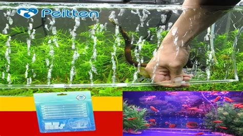 How To Make A Bubble Wand For Aquarium A Step By Step Guide