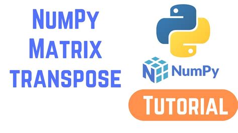 Python Numpy Tutorial For Beginners Numpy Matrix Transpose Transpose Of An Array In Python