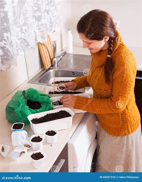 Woman Sowing Seeds In Ground Stock Photo Image Of Sprouts Seedling