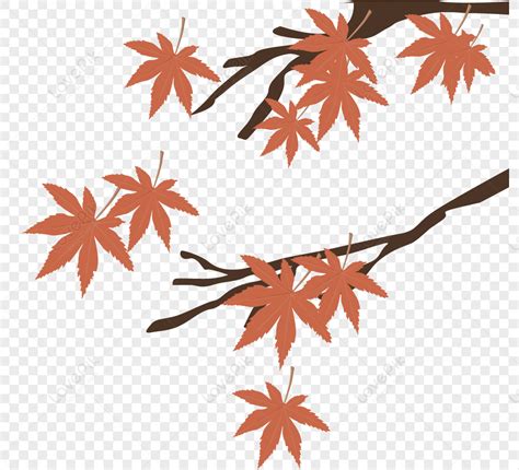 Maple Tree Branch Dark Orange Brown Leaves Brown Dark Png Image Free