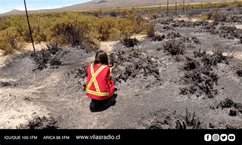 Autoridades Coordinan Trabajo Para Investigar Incendios Forestales En