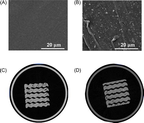 3d Printed Peeksilicon Nitride Scaffolds With A Triply Periodic