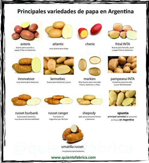 Variedades De Papas Quien Lo Fabrica