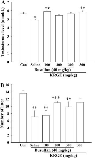 Effect Of Korean Red Ginseng Extract KRGE On Busulfan Induced