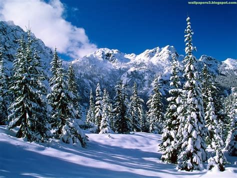 Wallpaper Winter Season Wallpapers