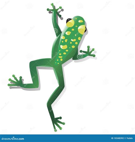 Tropical Frog Stock Illustrations 13712 Tropical Frog Stock