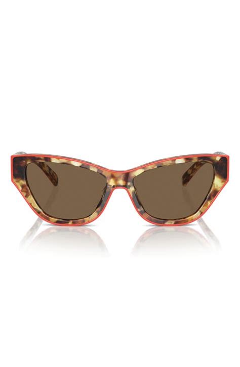 Womens Tory Burch Cat Eye Sunglasses Nordstrom