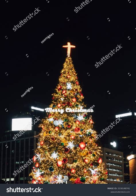Korea Christmas Photos Images And Pictures