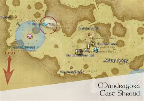 Mandragora Location Ffxiv Ff14 Hunting Log
