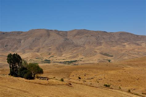 The 2007 African Drought and its Ecological Impact