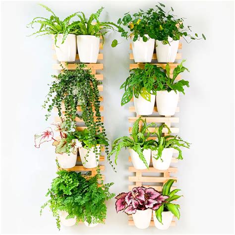 Amazon Shoplala Wooden Wall Planter Pack Wall Hanging