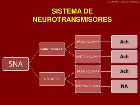 Farmacología del Sistema Nervioso Autónomo