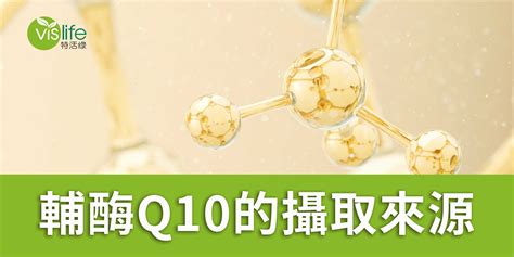 輔酶q10該如何攝取